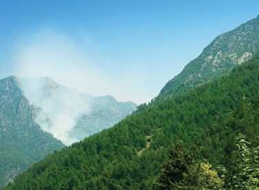 Lebanon's National Blueprint for a Sustainable Forest Biomass