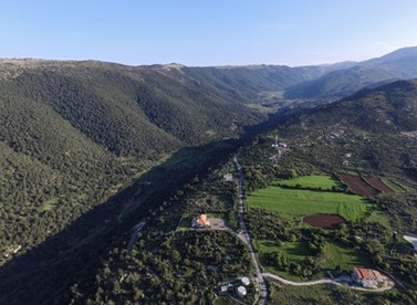 Wild Pine Forest Management Plan for the Municipality of Andket (Arabic)