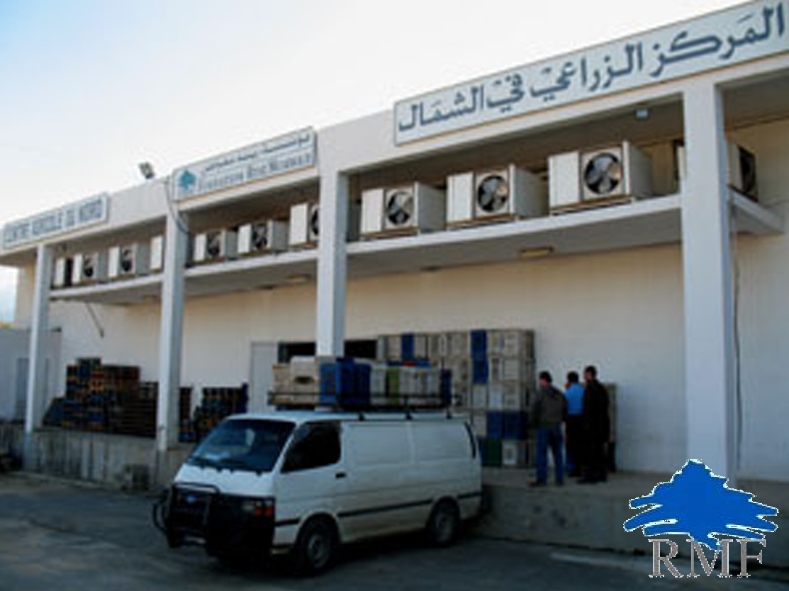 Rene Moawad Foundation